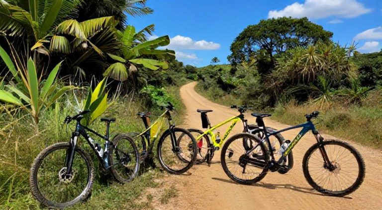 Top 5 Bicicletas Aro 29 Caloi, Gott e KSX para Comprar em 2026: Review Comparativo